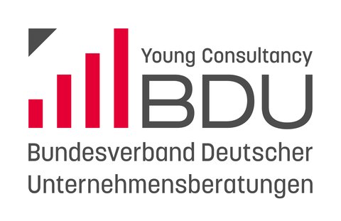 Logo BDU Young Consultancy